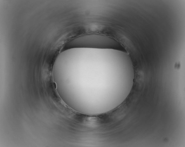 X0000113150324200909251334