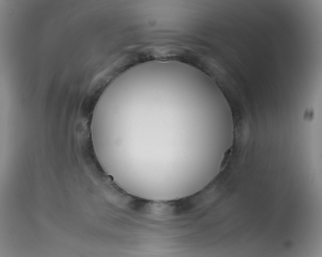 X0000113150327200909251334