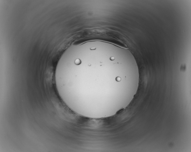 X0000113150328200909251334