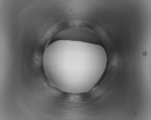 X0000113150332200909251334