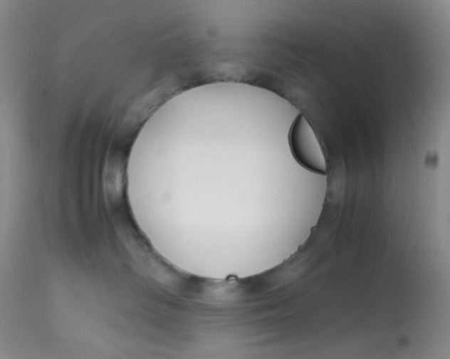 X0000113150334200909251334