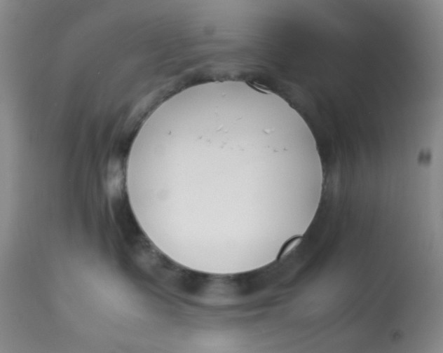 X0000113150335200909251334