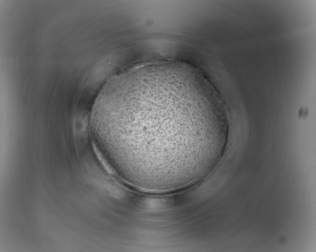 X0000113150336200909251334