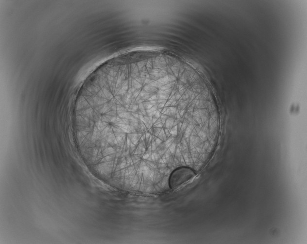 X0000113150337200909251333