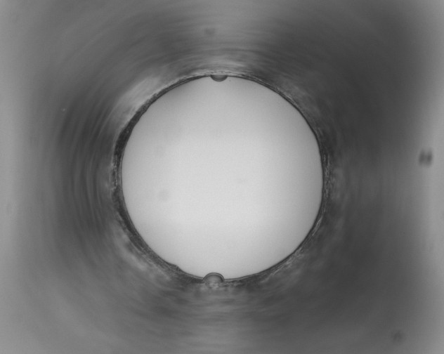 X0000113150338200909251333