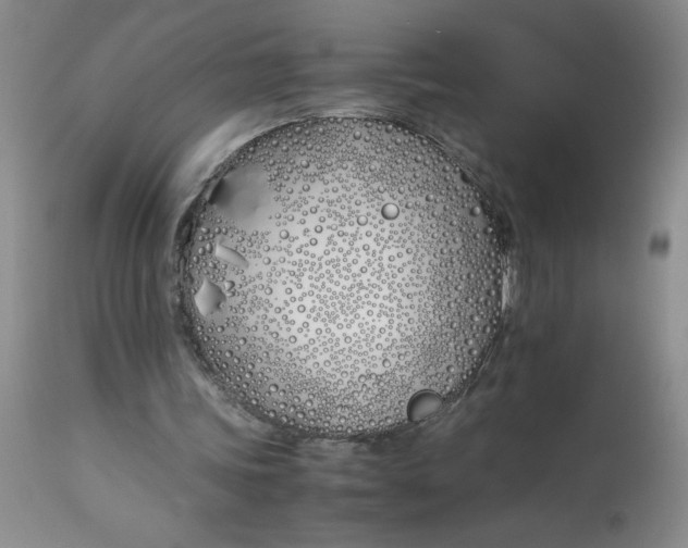 X0000113150339200909251333