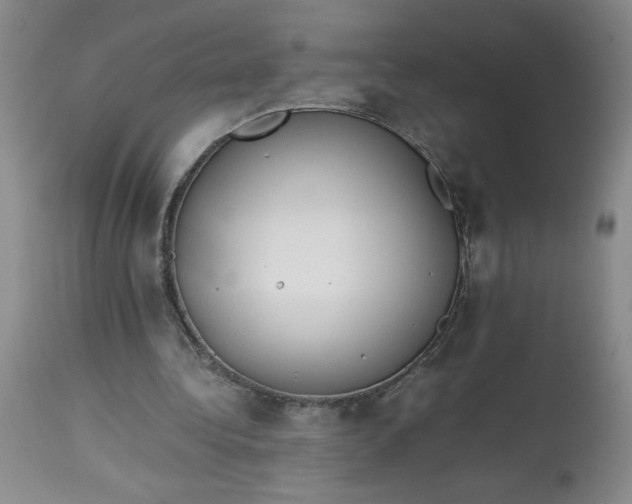 X0000113150340200909251333