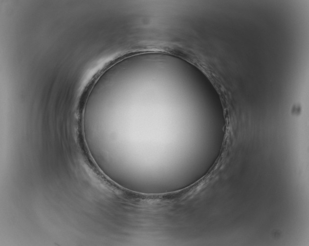 X0000113150342200909251333