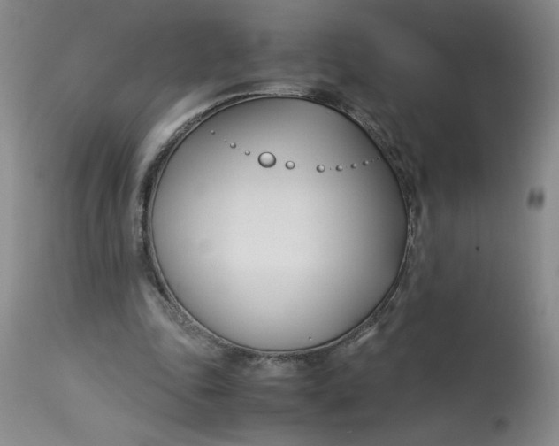 X0000113150343200909251333