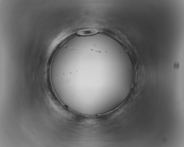 X0000113150344200909251333