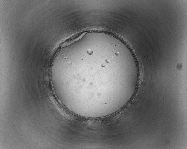 X0000113150345200909251333