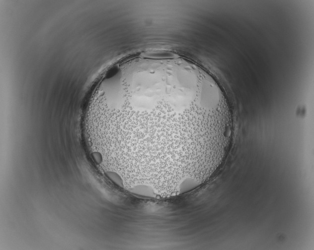 X0000113150346200909251333