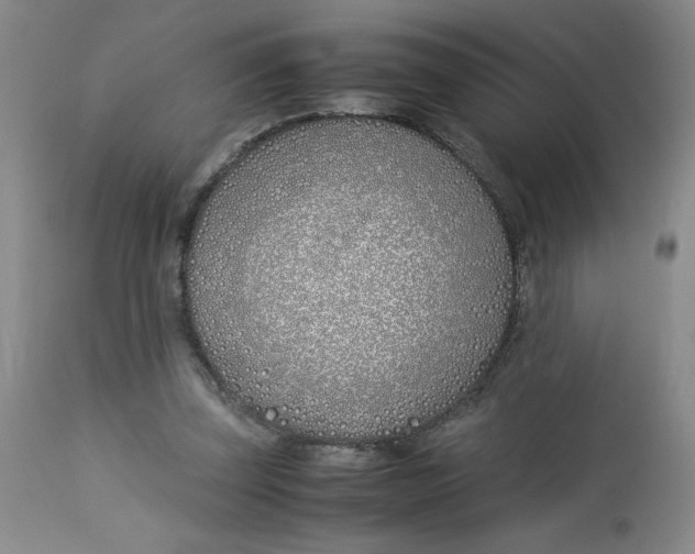 X0000113150347200909251333