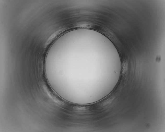 X0000113150349200909251333