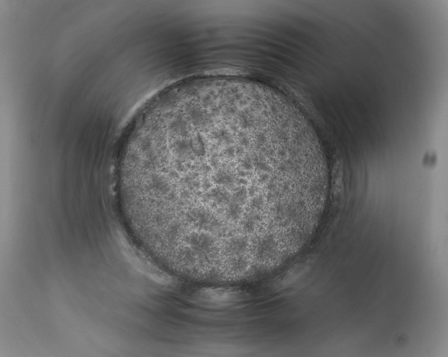 X0000113150351200909251333