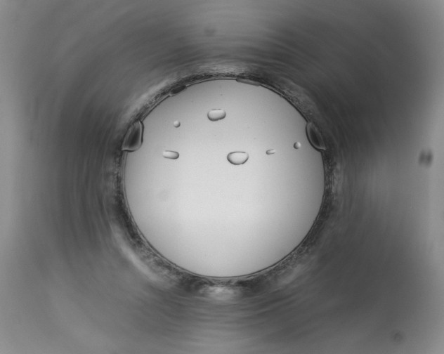 X0000113150352200909251333