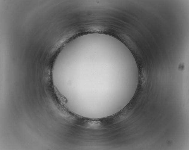 X0000113150355200909251333