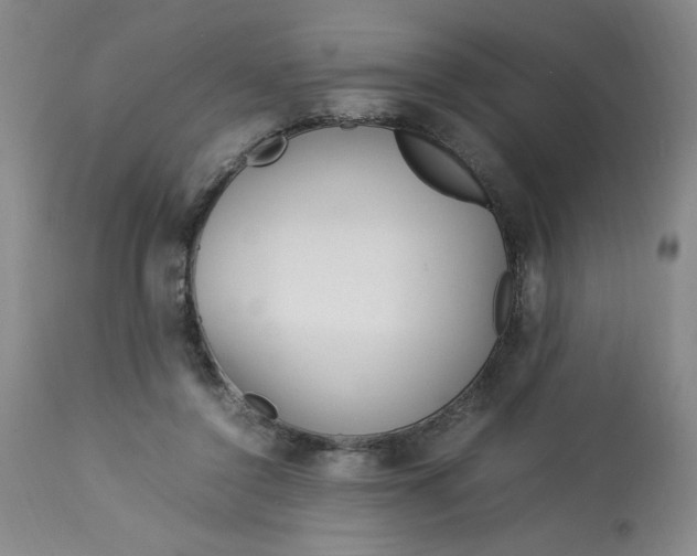 X0000113150356200909251333