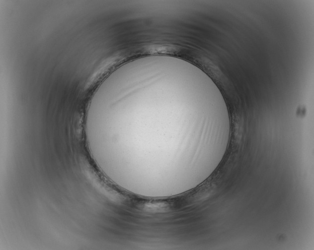 X0000113150357200909251333