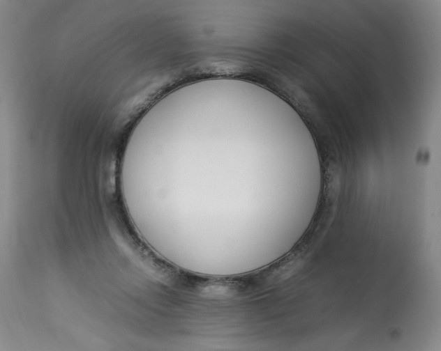 X0000113150358200909251333