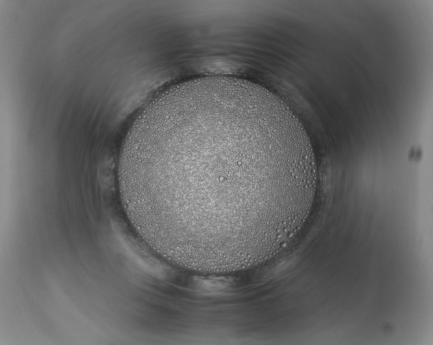 X0000113150359200909251333