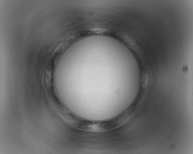 X0000113150365200909251334