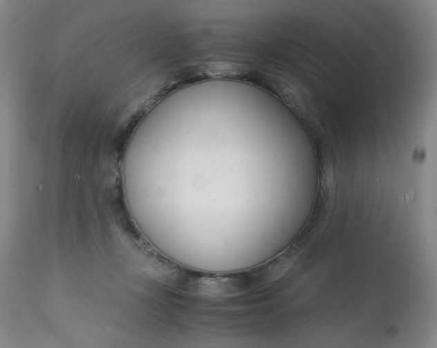 X0000113150367200909251334