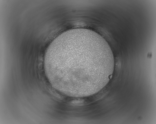 X0000113150369200909251334