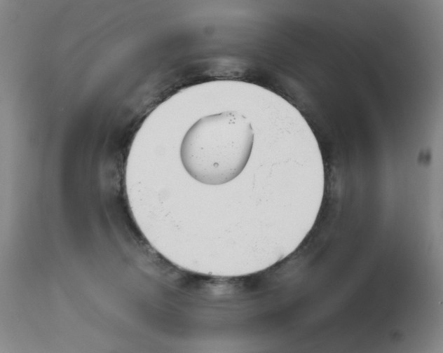 X0000113150370200909251334