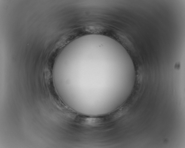 X0000113150371200909251334