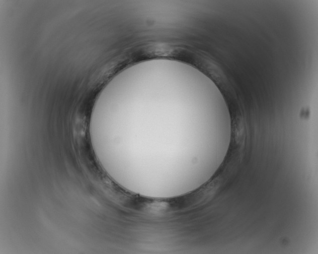 X0000113150374200909251334