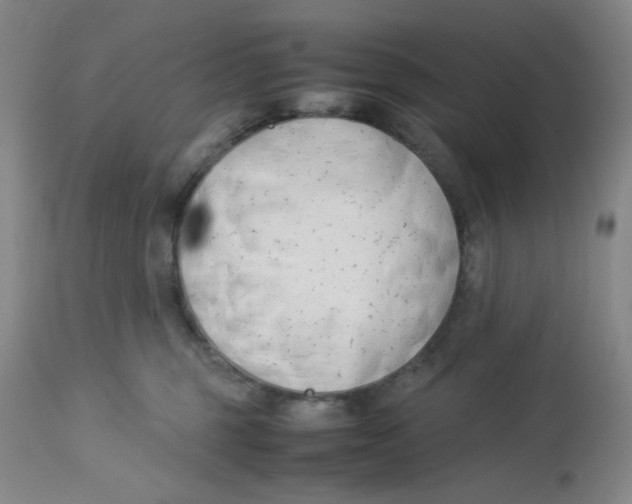 X0000113150375200909251334