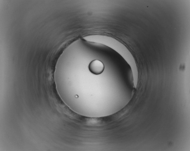 X0000113150380200909251334