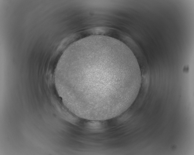 X0000113150381200909251334