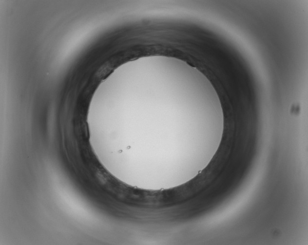 X0000113150382200909251334