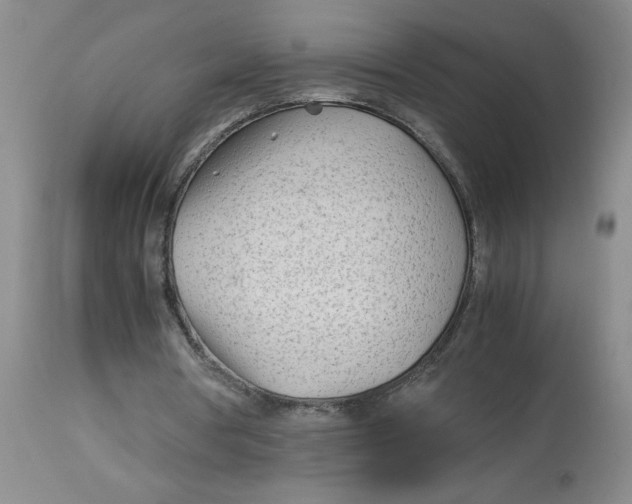 X0000113150386200909251333