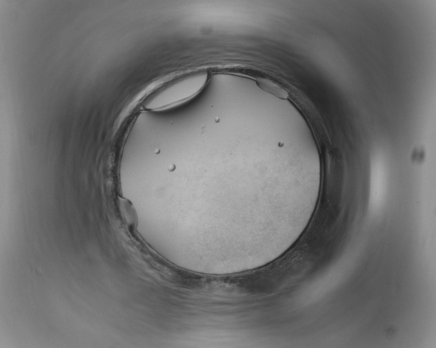 X0000113150387200909251333