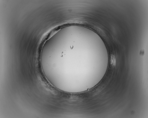 X0000113150388200909251333