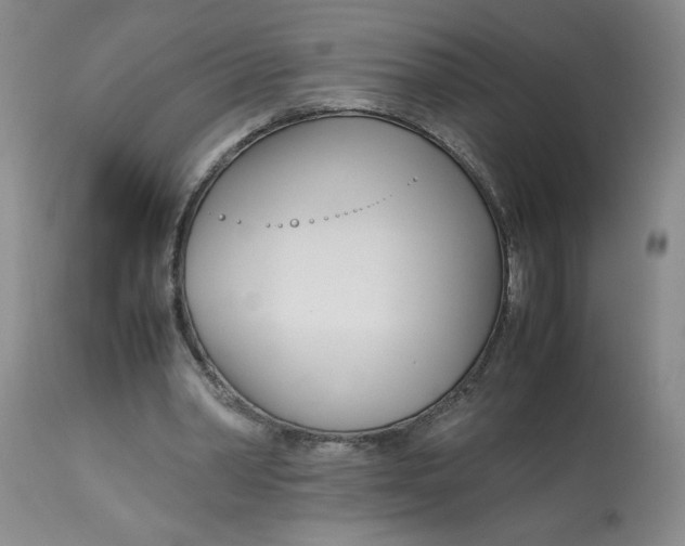 X0000113150390200909251333