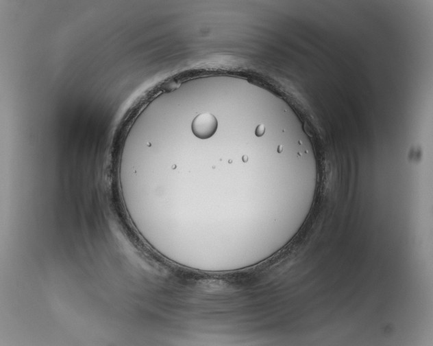 X0000113150392200909251333