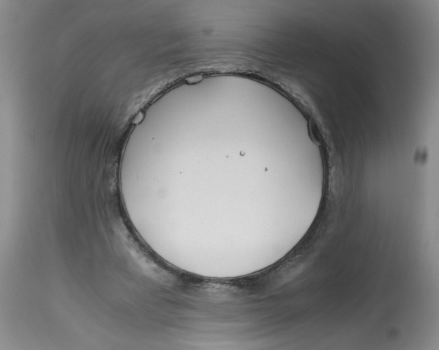 X0000113150393200909251333