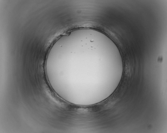 X0000113150394200909251333