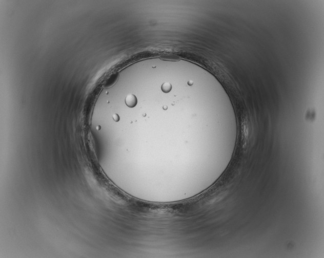 X0000113150396200909251333