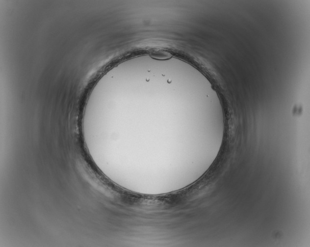 X0000113150399200909251333