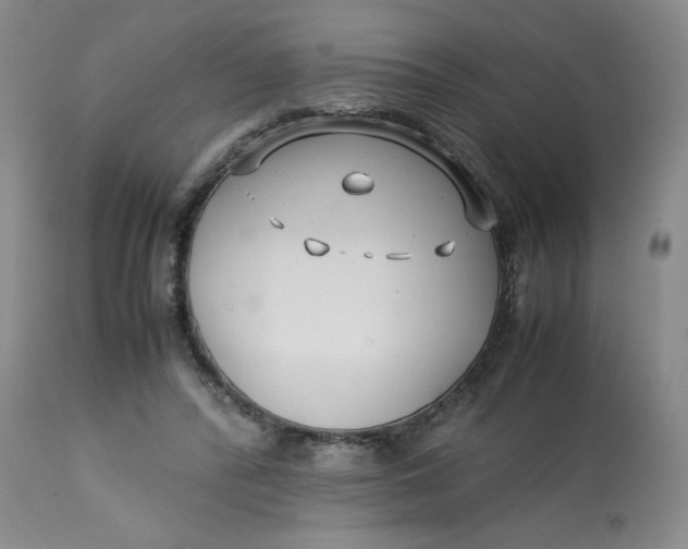 X0000113150400200909251333