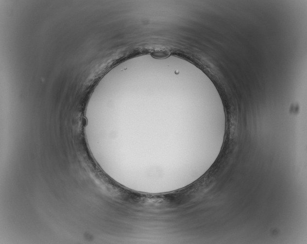 X0000113150401200909251333