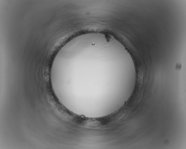 X0000113150403200909251333