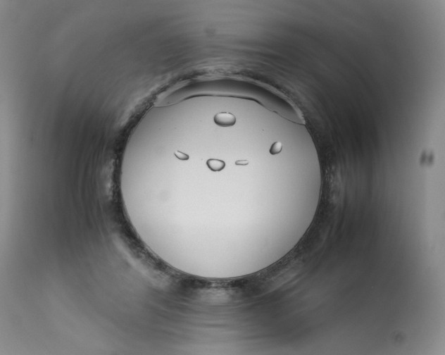 X0000113150404200909251333