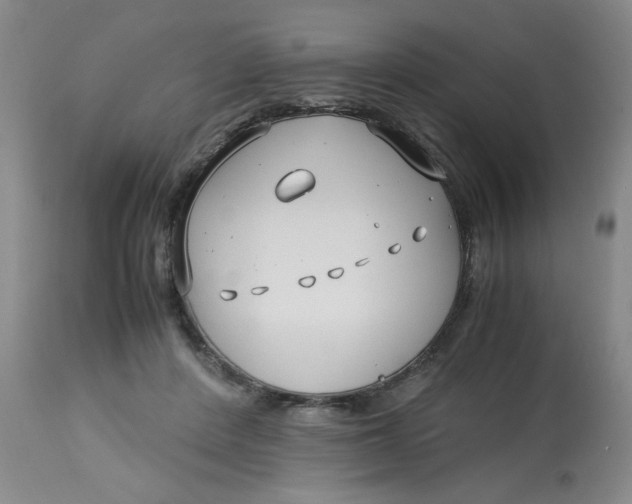 X0000113150408200909251333