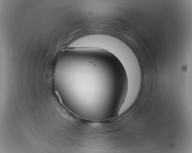 X0000113150409200909251333